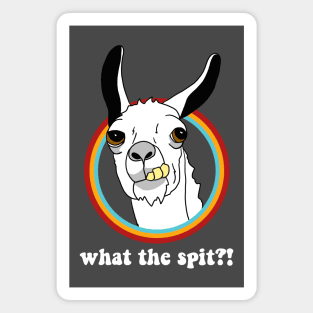 Llama What the Spit?! Magnet